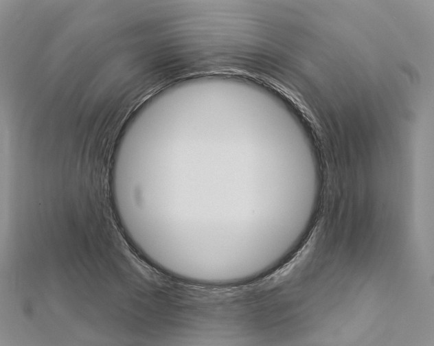 X0000112820881200908210958