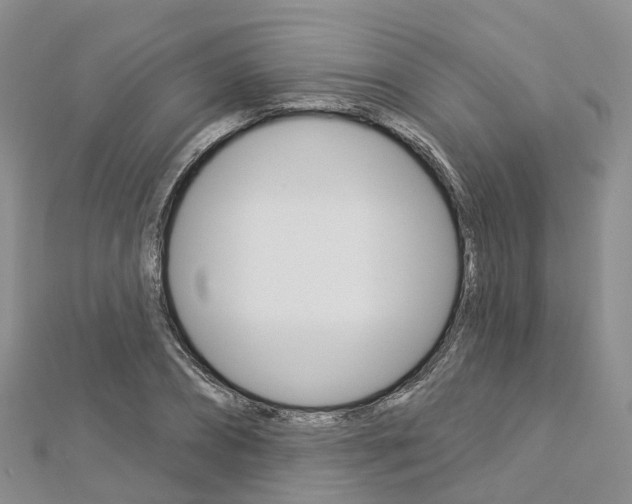 X0000112820882200908210958