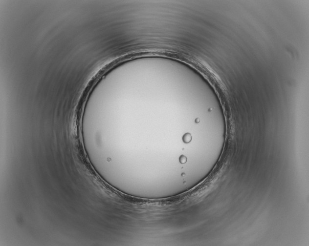 X0000112820883200908210958