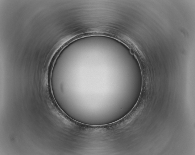 X0000112820884200908210958
