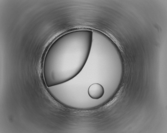 X0000112820885200908210958