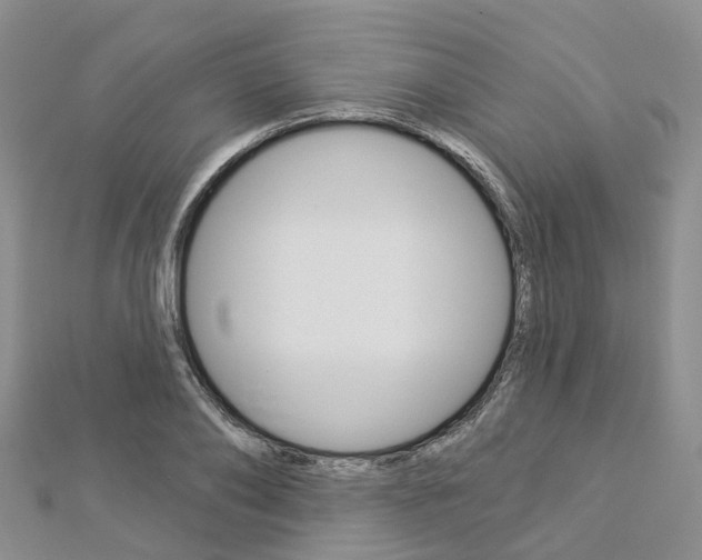 X0000112820886200908210958