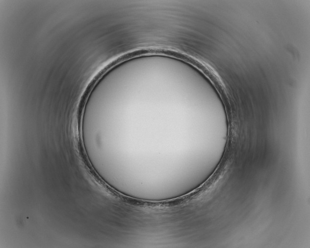 X0000112820887200908210958
