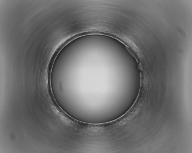 X0000112820888200908210958