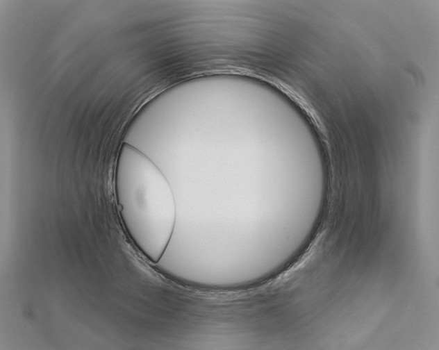 X0000112820889200908210958