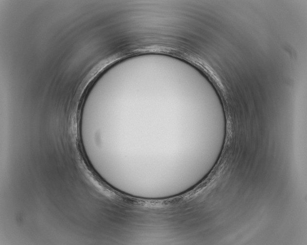 X0000112820890200908210958