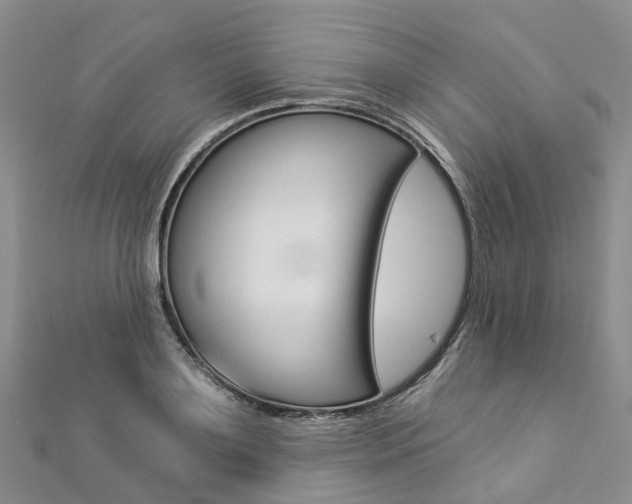 X0000112820891200908210958