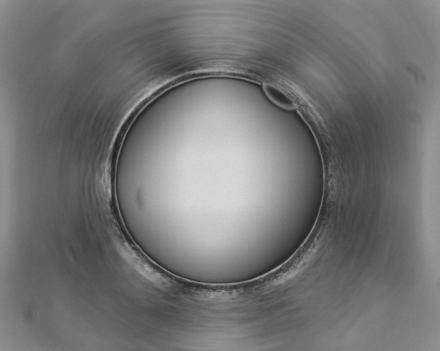X0000112820892200908210958