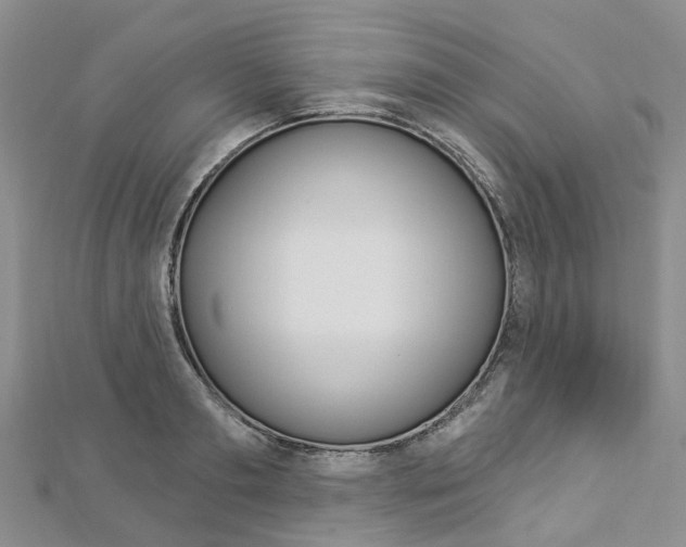 X0000112820893200908210958