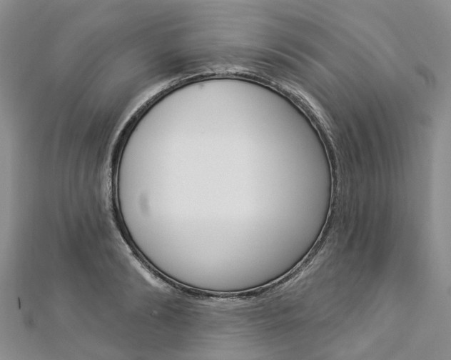 X0000112820894200908210958