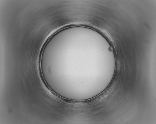X0000112820895200908210958