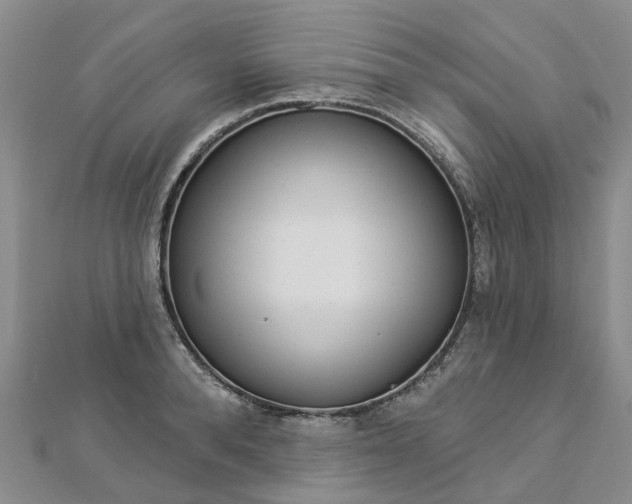 X0000112820896200908210958