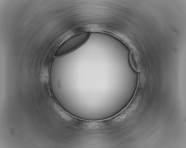 X0000112820897200908210958