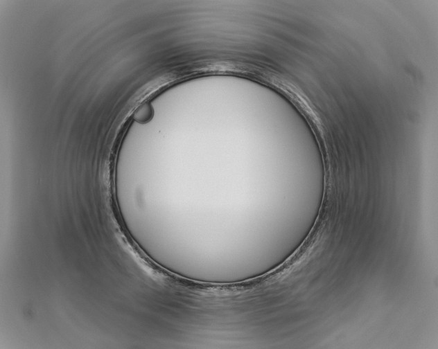 X0000112820898200908210958