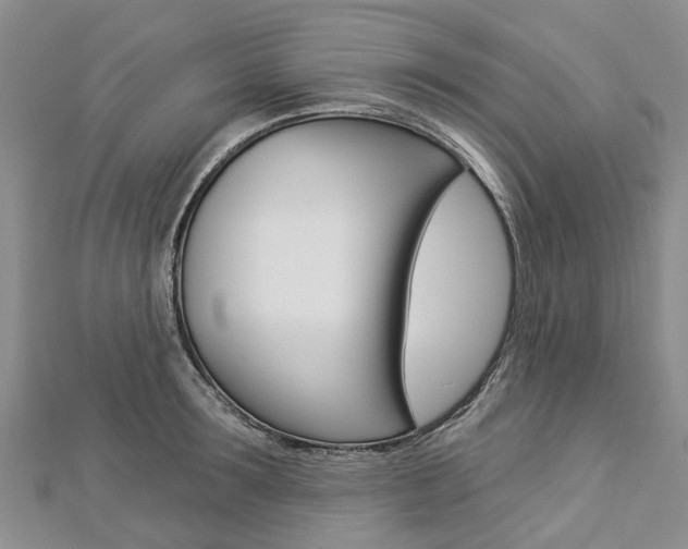 X0000112820899200908210958