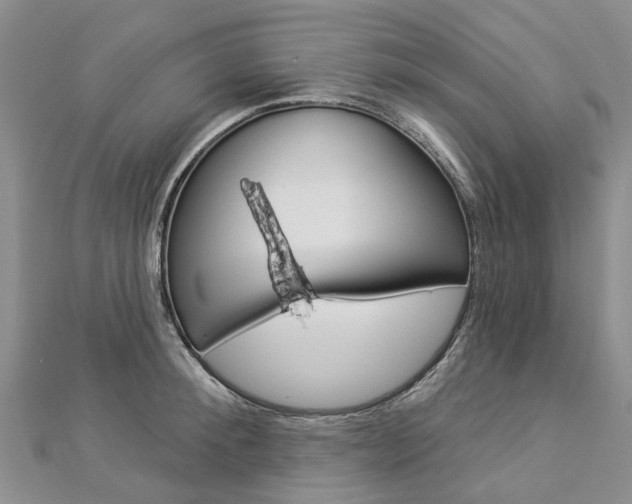 X0000112820900200908210958