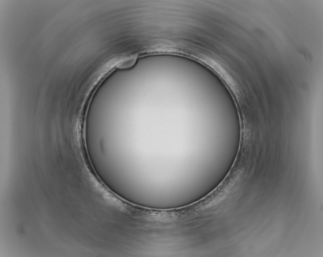 X0000112820901200908210957