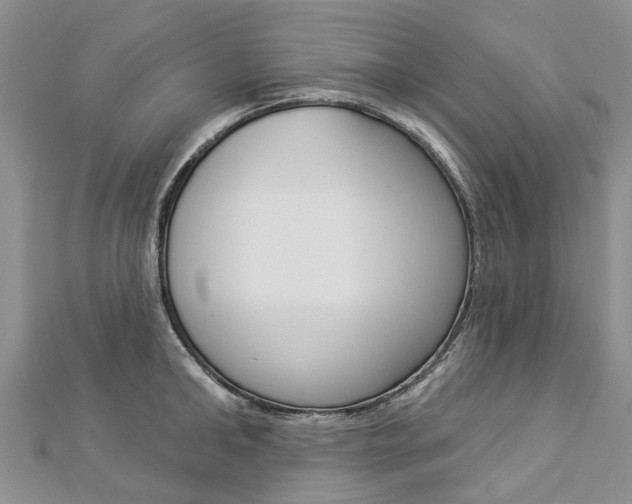 X0000112820902200908210957