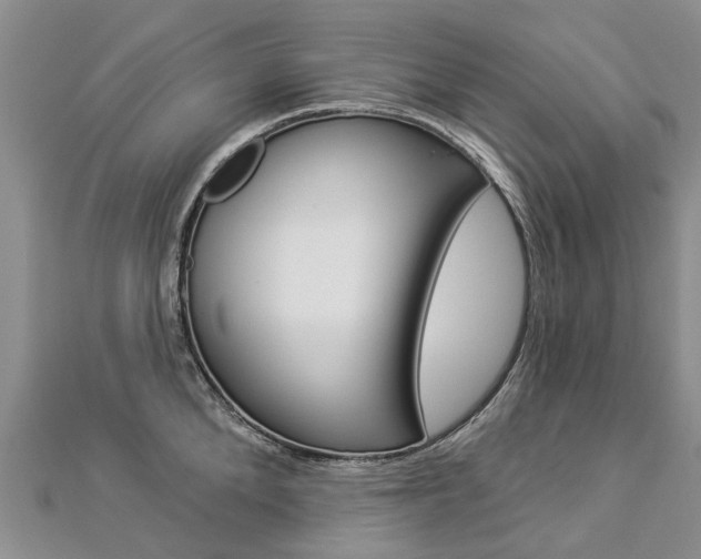 X0000112820904200908210957
