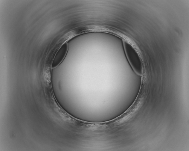 X0000112820905200908210957