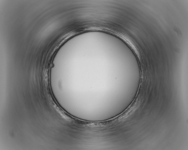 X0000112820906200908210957
