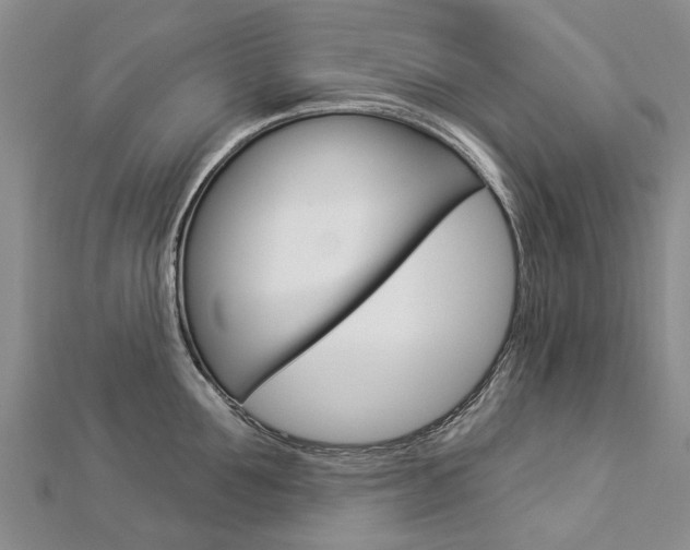 X0000112820907200908210957