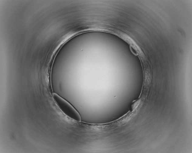 X0000112820908200908210957