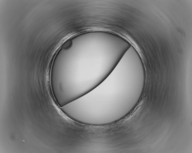 X0000112820909200908210957