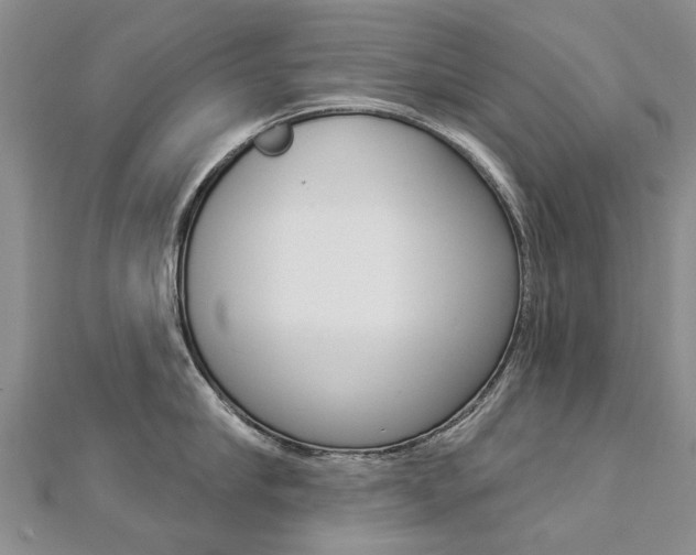 X0000112820910200908210957