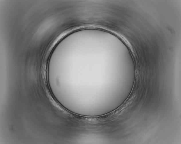 X0000112820911200908210957