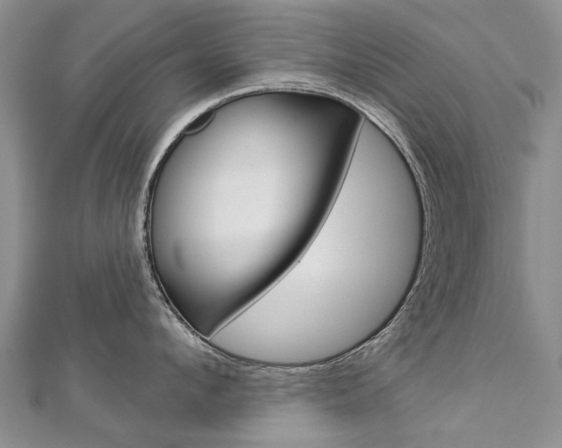 X0000112820912200908210957
