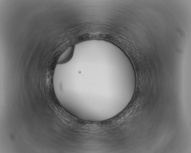 X0000112820914200908210957