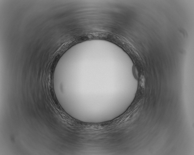 X0000112820915200908210957