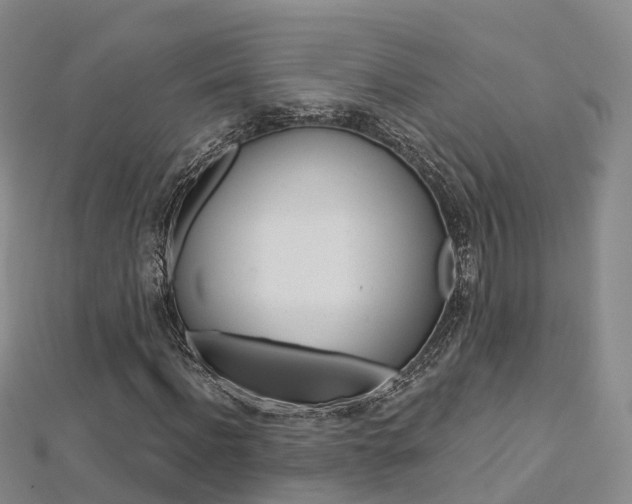 X0000112820916200908210957