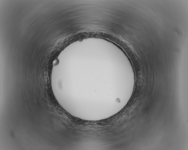 X0000112820918200908210957