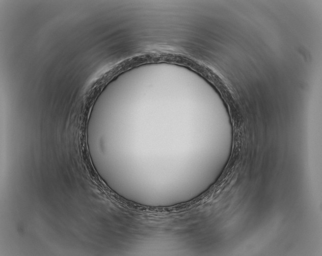 X0000112820919200908210957