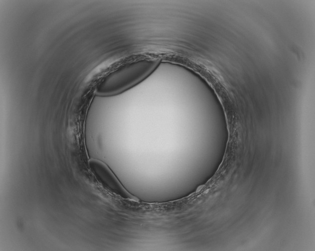 X0000112820920200908210957