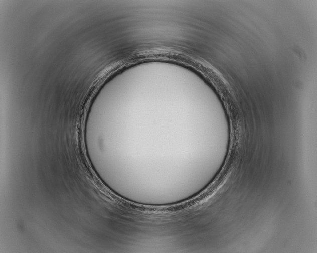 X0000112820921200908210957