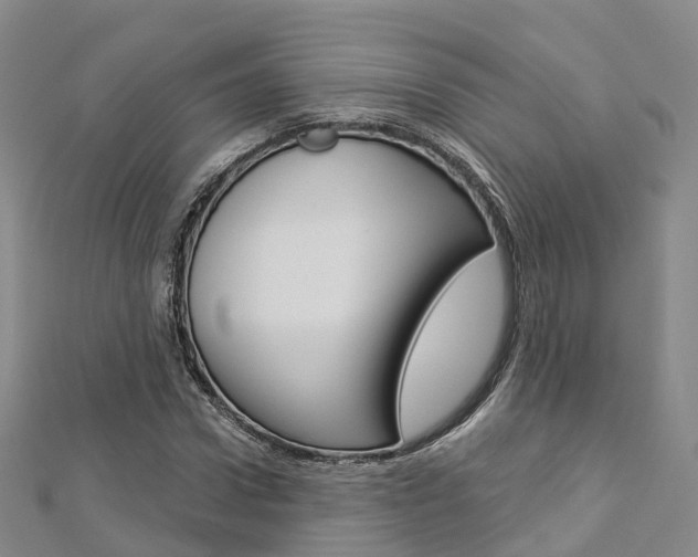 X0000112820922200908210957