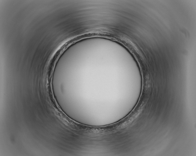 X0000112820923200908210957