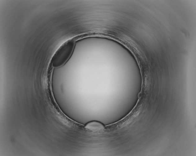 X0000112820924200908210957