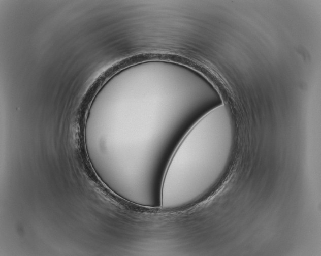 X0000112820926200908210957
