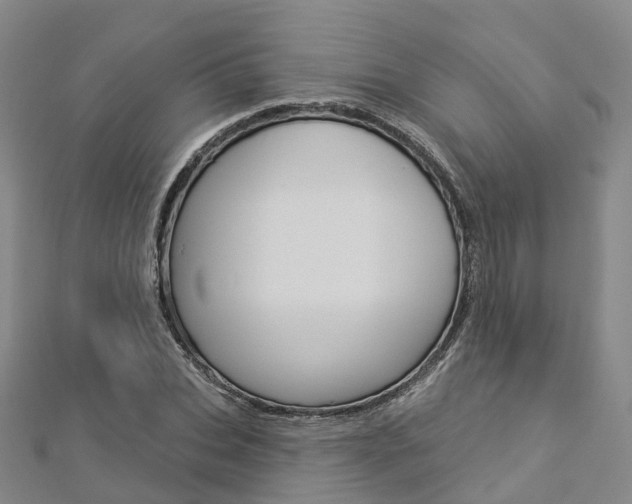 X0000112820927200908210957