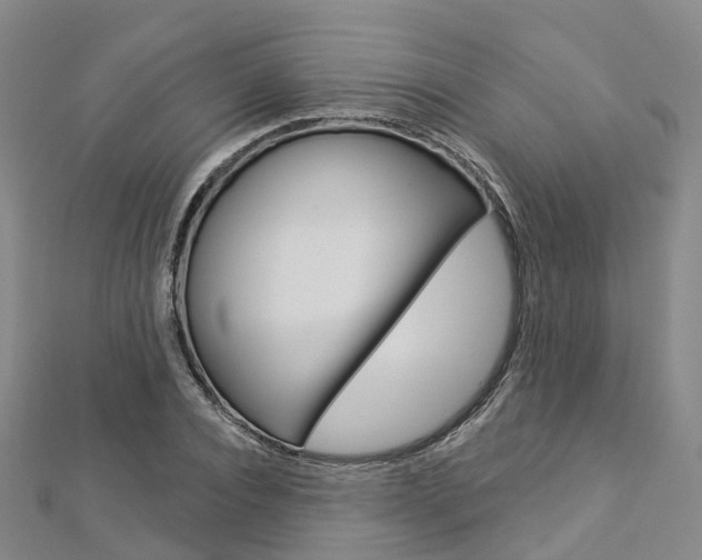 X0000112820928200908210957