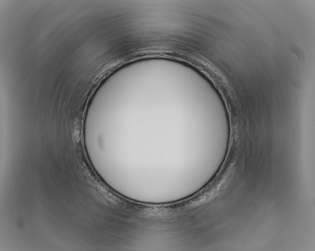 X0000112820929200908210957