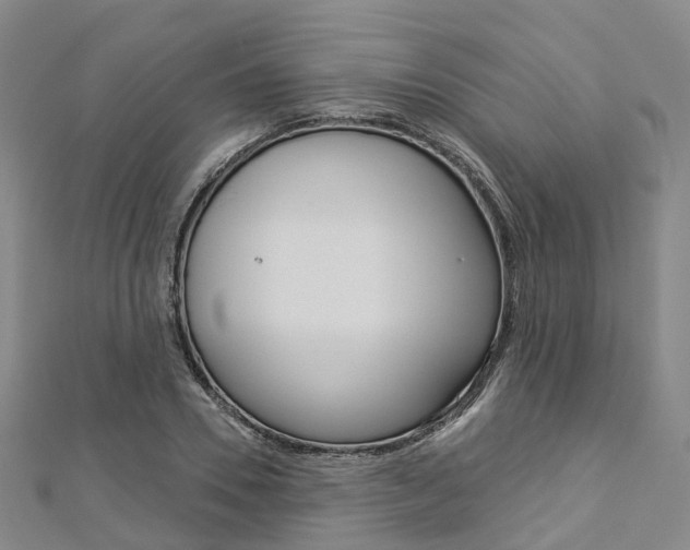 X0000112820930200908210957