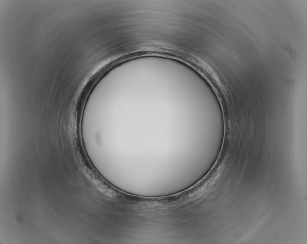 X0000112820931200908210957