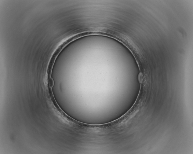 X0000112820932200908210957