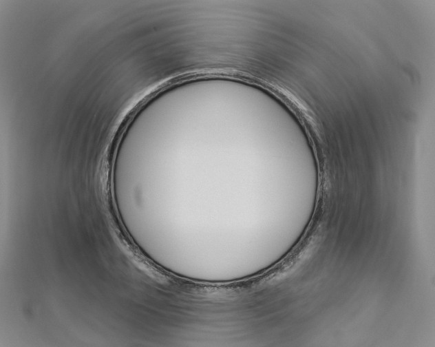 X0000112820933200908210957