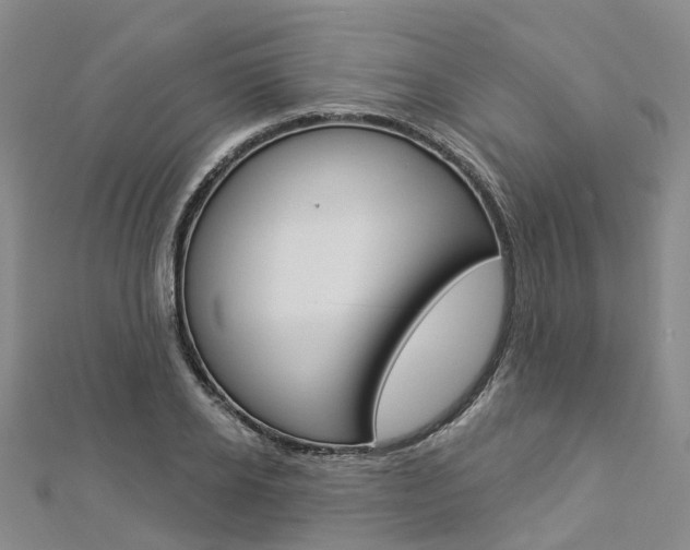 X0000112820934200908210957